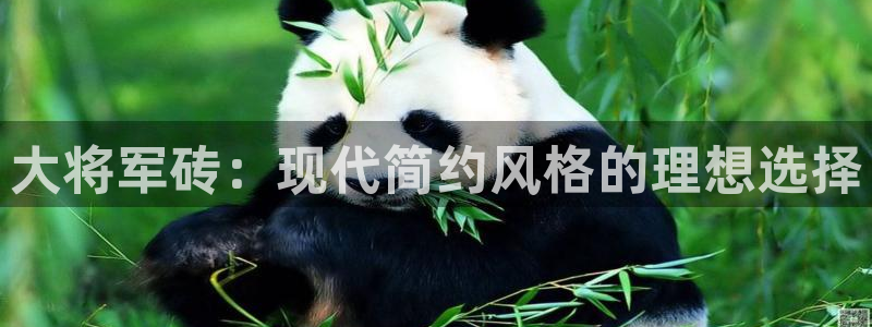 金年会娱乐和马竞：大将军砖：现代简约风格的理想选择