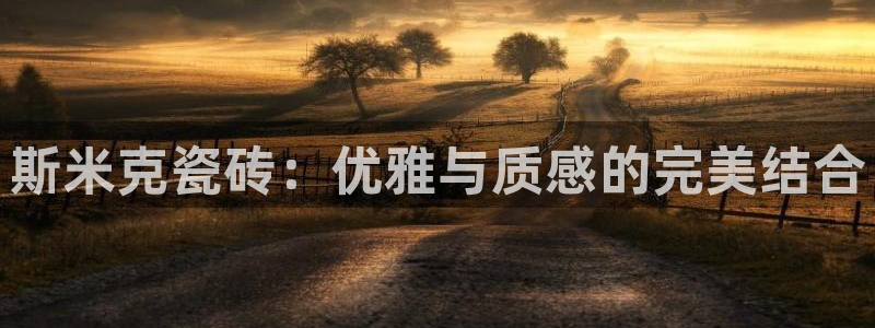 金年会体育app官网