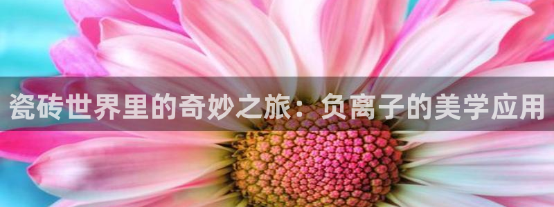 金汉江年会