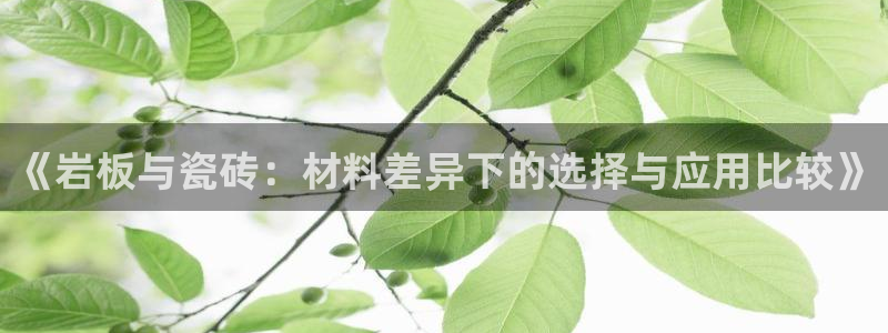 金年会app下载官网