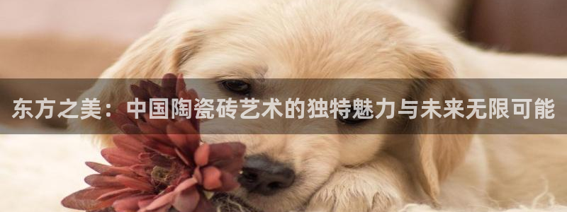 金联金年会