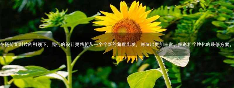 金年会娱乐和马竞