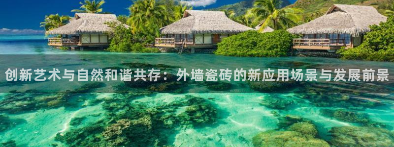 金年会是正规平台吗
