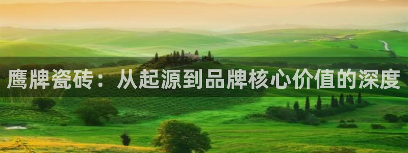 金诺利年会