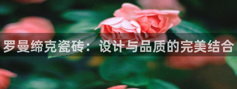 金年会体育官方网站