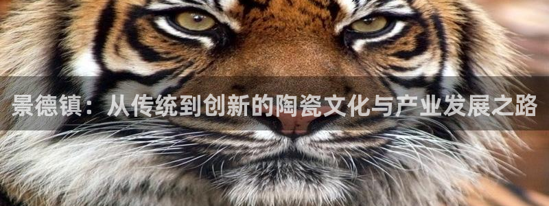 金年会介绍