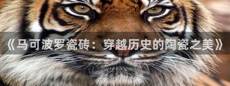 金年会体育官方网站入口