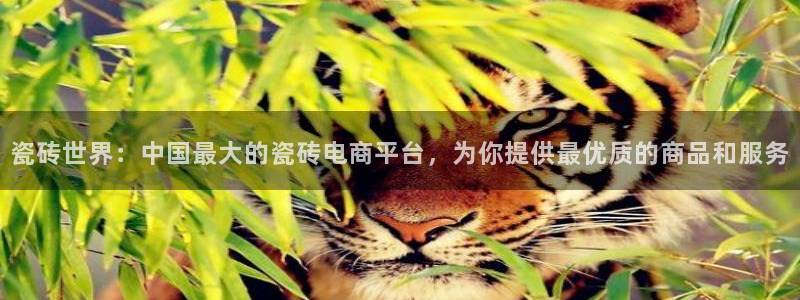 金年会体育官方网站