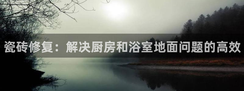 陆金所 年会