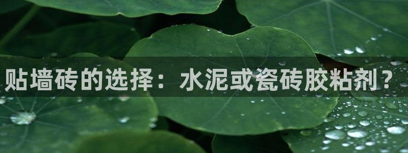 金年会是真的吗