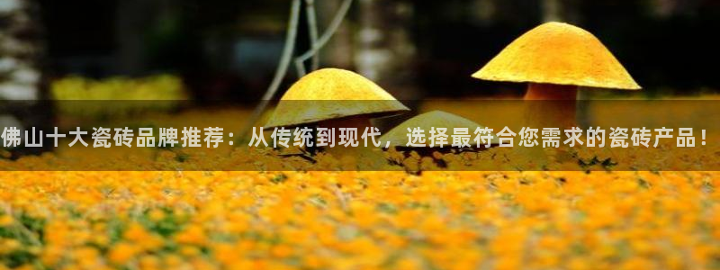 金年会app