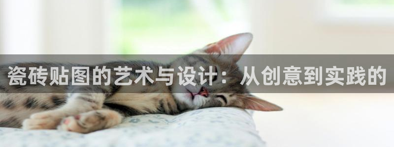 金进年会