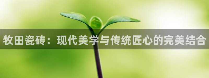金年会软件在线下载