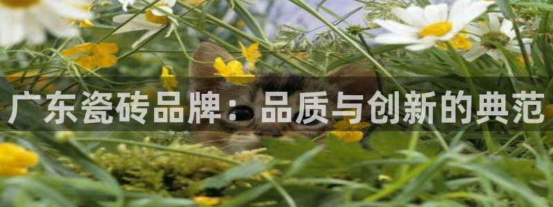 金年会活动
