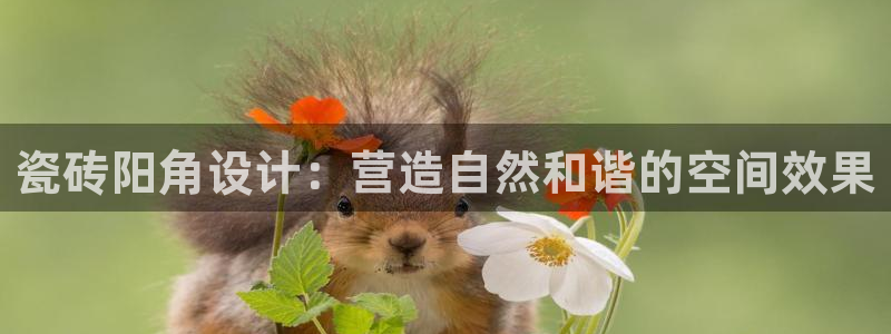 金年会官网地址