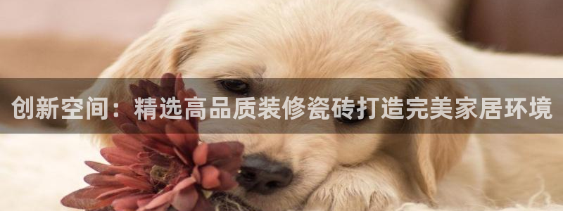 金年会这个平台