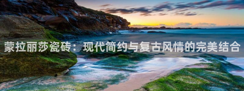体育金年会