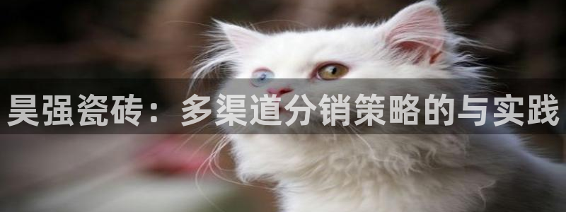 金年会金字招牌诚信至上