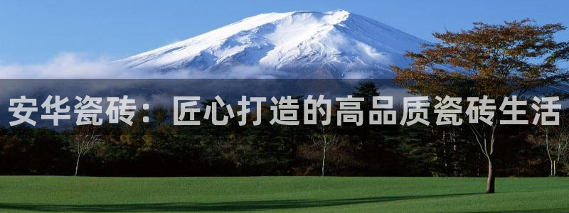 金年会官