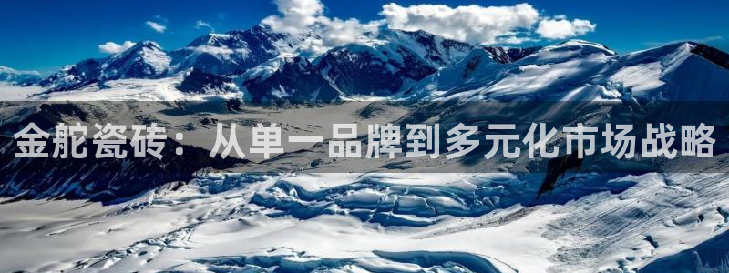 金年会金字招牌