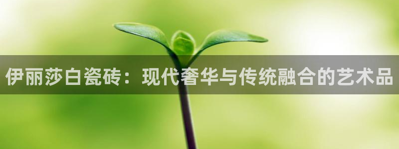 金年会综合APP