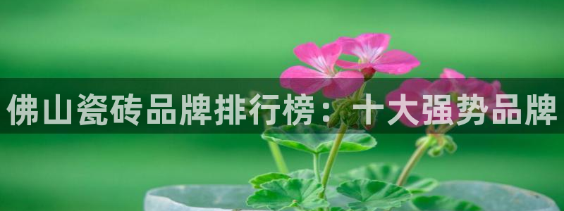 金年会这个平台