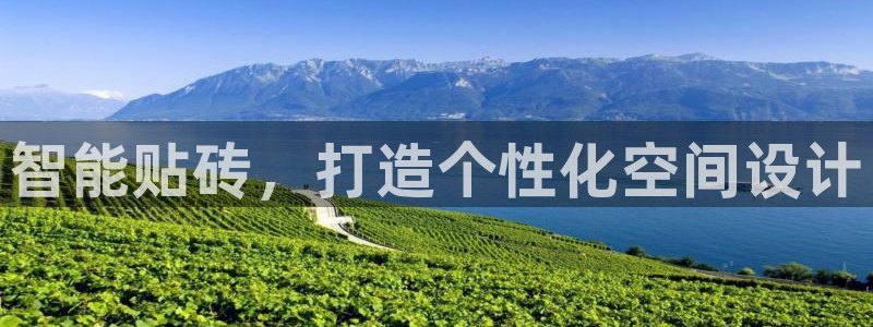 金年会软件在线下载