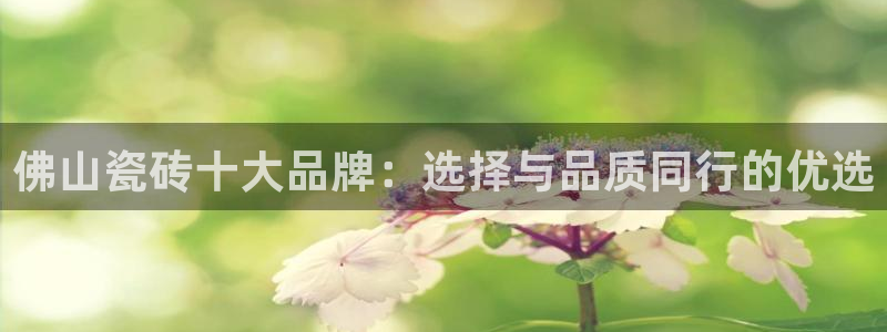 金年会嗨聊app下载