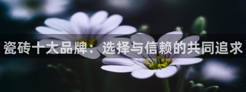 jinnian金年会