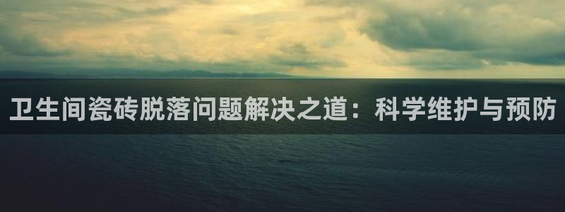 金年会体育平台官网