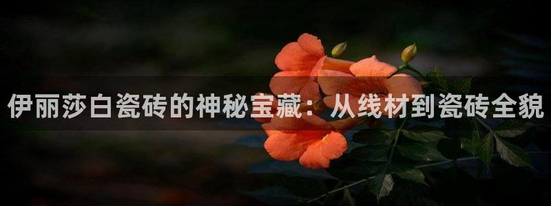 金年会 1080P