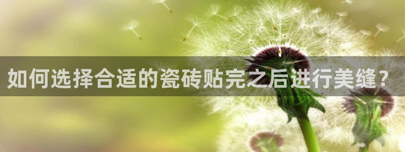 金年会电子