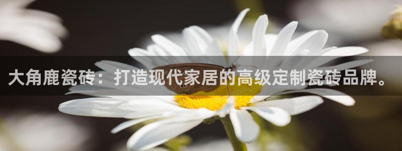 金年会体育官方