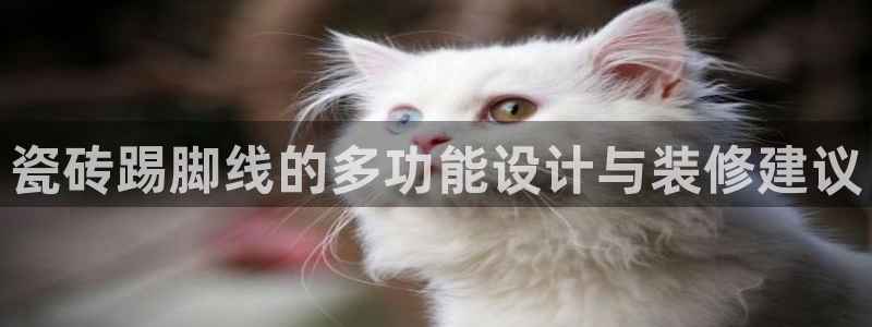 金年会软件在线下载