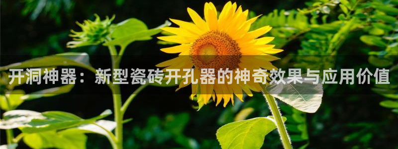 金年会官网app下载