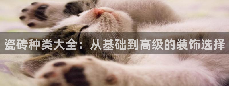 金年会官方客服电话