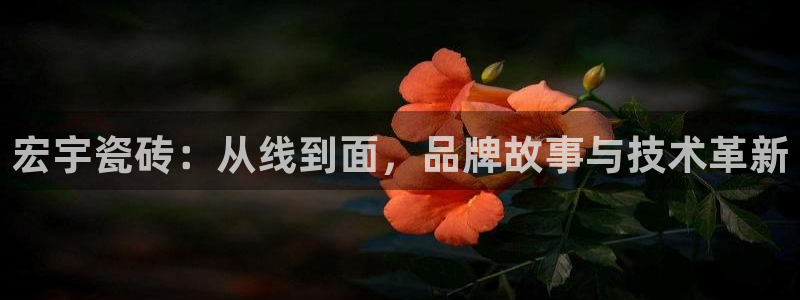 澳门与金年会的关系