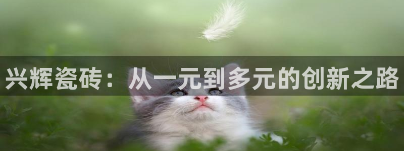 金年会娱乐app