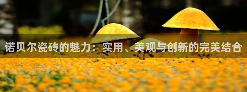 金年会体育app