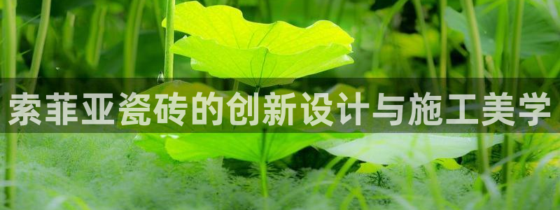 金年会金字招牌信誉
