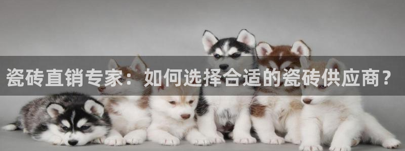 金年会体育平台入口