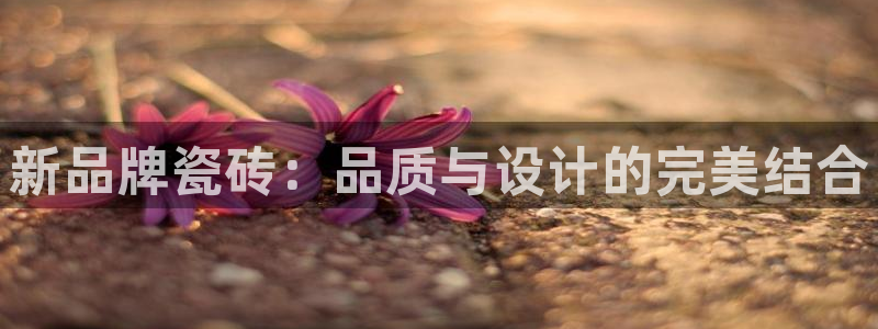 金年会官网app