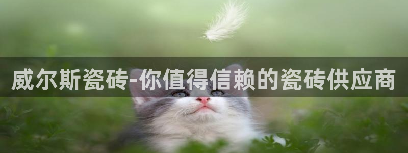 金年会不给提现