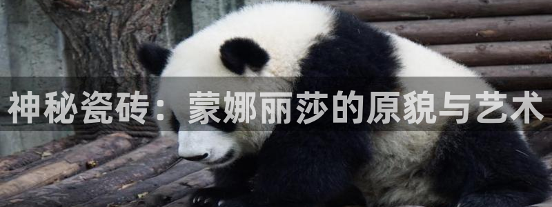 金年会彩票软件