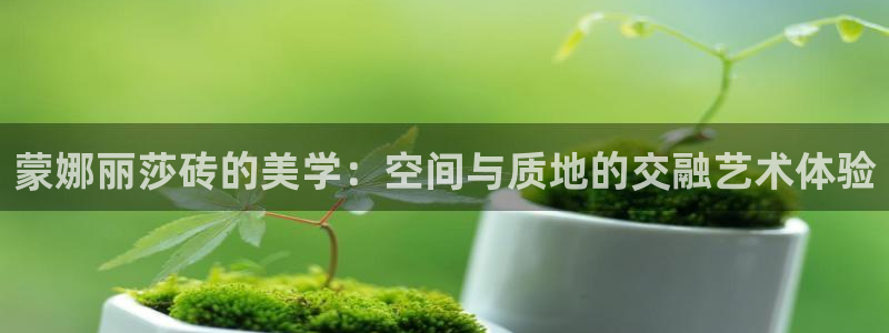 金年会赌博