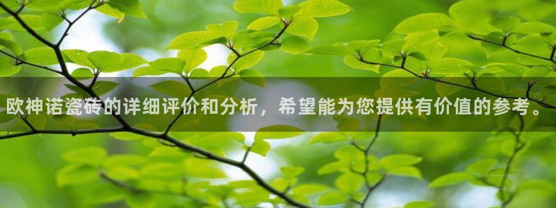 金年会信誉