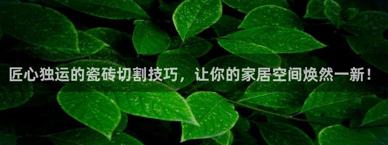 金年会投注官网