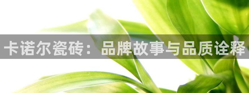 金年会原名