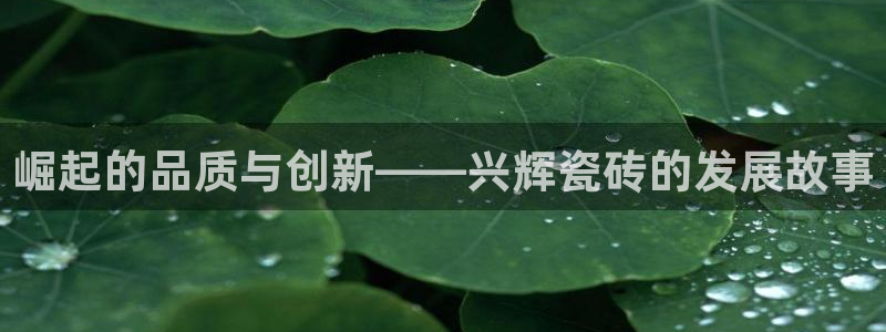 金年会网页版登陆