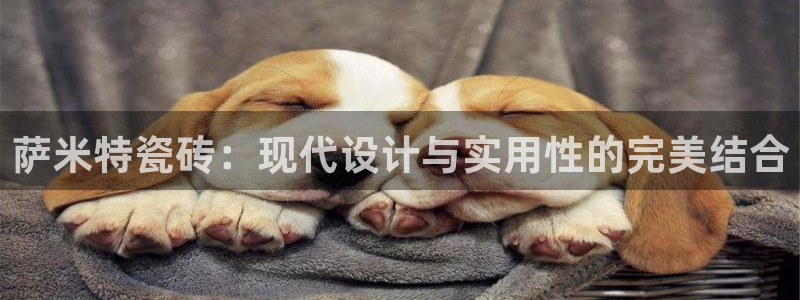 金年会吧